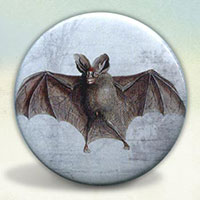 Bat Engraving Bat Engraving