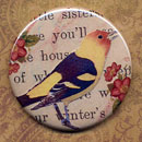 Sweet Bird