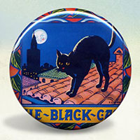 Black Cat Oranges Illustration Poster Black Cat Oranges Illustration Poster