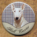 English Bull Terrier Dog