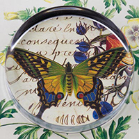 Butterfly with Flowers Glass Round Paperweight Butterfly with Flowers Glass Round Paperweight