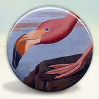 Flamingo Flamingo
