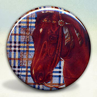 Horse on Plaid Horse on Plaid