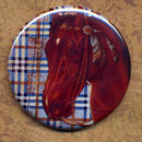 Horse on Plaid