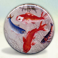 Koi Koi