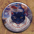 Black Kitty Cat Macabre