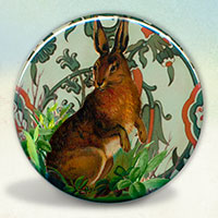 Rabbit Rabbit