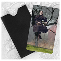 The Girl and The Raven