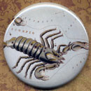 Constellation of Scorpio