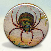 Spider Spider