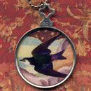 Swallow