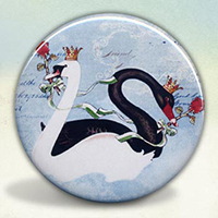 The Black and White Swans The Black and White Swans